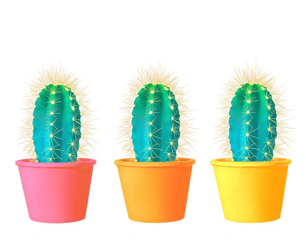 Cactus